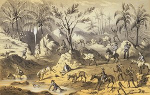 Crossing the Isthmus, Frank Marryatin teoksesta "Mountains and Molehills or Recollections of a Burnt Journal", kaiverrettu J. Brandard, julkaistu 1855 tekijältä Francis Samuel Marryat